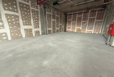 Spatiu comercial 110 MP plus TERASA 48 MP - 2