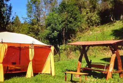 Vanzare casa in Abrud - 17