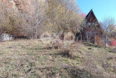 Teren Construcții de 1250 mp, în Vălenii de Munte - 1