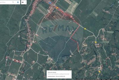 Teren Construcții intravilan de 6900 mp, în Bran - 17