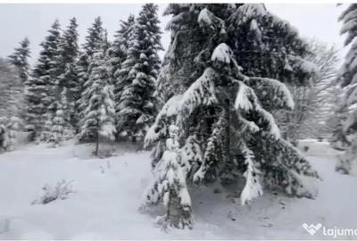 Teren de 1075 mp, în Colibița - 1