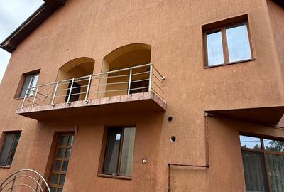Casa spatioasa cu livada si sere- Ronat, Timisoara - 2