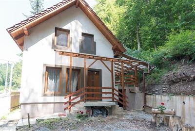 Casa de vacanta (Sovata, str. Tivoli) - 1