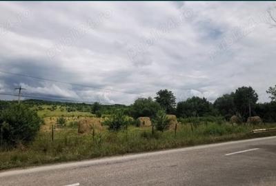 Teren de 18100 mp, în Domnești - 1