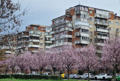 Apartament cu 3 camere decomandat, mobilat în Complex Studențesc