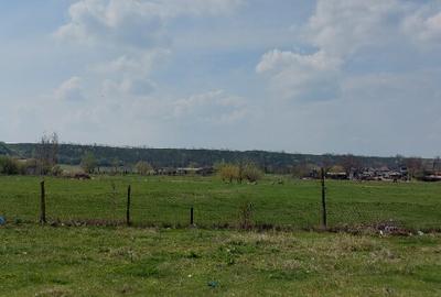 Teren intravilan 3109mp - 2