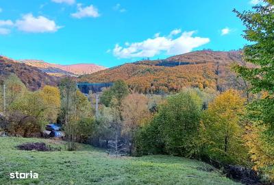 Teren de 2000 mp, în Valea Doftanei - 2