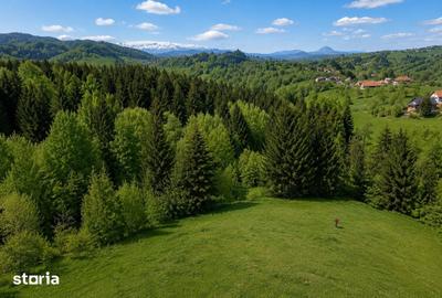 Teren de 18500 mp, în Bran - 6
