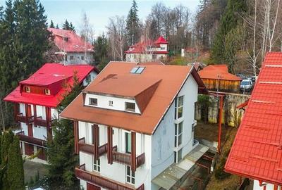 FILM! Rezidenta montana,decor apreciabil, pod mansardabil,garaj propriu,Central - 19