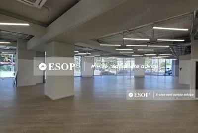 Spațiu comercial, de 6,323 mp, în Victoriei - 1