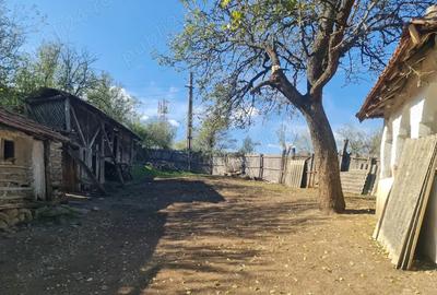 Casa si pamant agricol de vanzare - 5