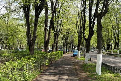 Apartament cu 2 camere semidecomandat în Nord - 17