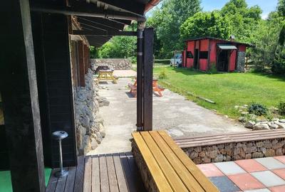 Hotel/Pensiune, de 20 mp, în Viștișoara - 4