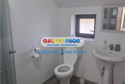 Inchiriem vila in Budeasa, mobilata si utilata - 4