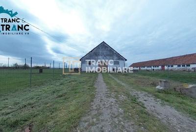 Spațiu industrial, de 619 mp, în Zăbrani - 2