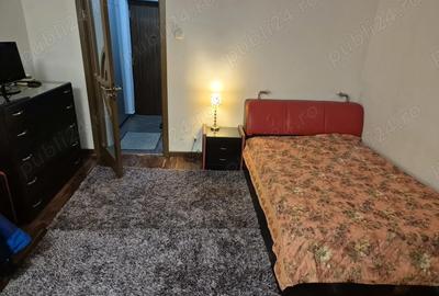 Garsoniera dragutica - 2