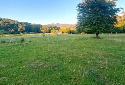 Teren superb Rasnov cu priveliste si rau - 6