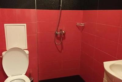 Garsonieră decomandată în Drumul Sării - 3