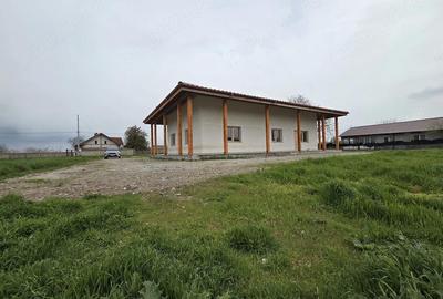 Casă cu Teren 1400 Mp în Agighiol