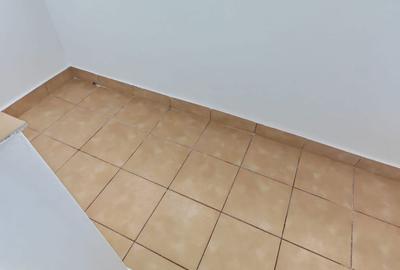 Apartament cu 2 camere în Trivale - 8