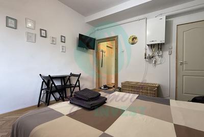 Garsonieră pentru Airbnb, central - Armenesc, lift, credit OK - 5
