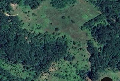 Se vinde pământ 6 hectare - 3
