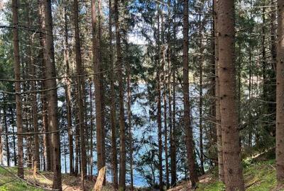 Spațiu comercial, în Beliș - 2