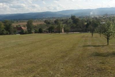 Teren Construcții intravilan de 4800 mp, în Gurasada - 1