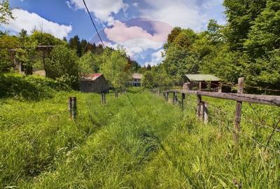 Comision 0%! Proprietate in natura, priveliste superba, Sita Buzaului - 12
