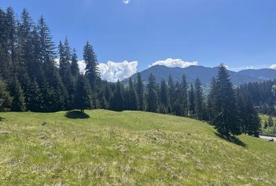 Spațiu comercial, în Piatra - 3