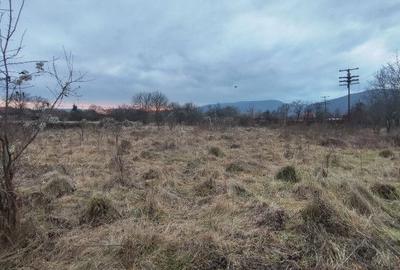 Spațiu comercial, în Cheia - 7