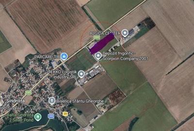 Teren de 10000 mp, în Movilița - 3