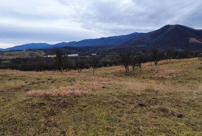 Teren de 1255 mp, în Cisnădioara - 2