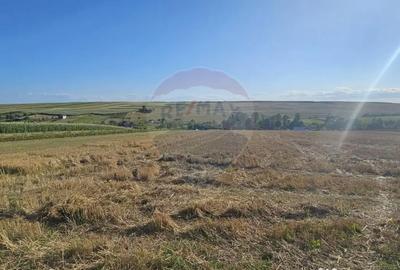 Teren de 7500 mp, în Moara - 14