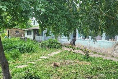 Casa si teren, loc Dragalina, Jud. Calarasi-03.03 Casa si teren, loc Dragalina, Jud. Calarasi-03.03 - 10