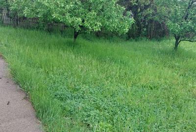 Teren Construcții intravilan de 5265 mp, în Teișani - 4