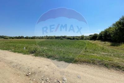 TEREN  INTRAVILAN  5000mp ORAS CISNADIE  STR. SELIMBARULUI - 10