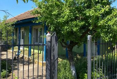 Casa la ?ara cu teren 1000 mp + posibilitate teren suplimentar 1922 mp Baneasa, judetul Giurgiu - 4