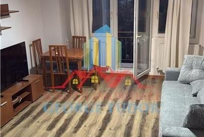 Inchiriere 2 camere Wellness Militari Residence - 10