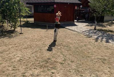 Casă cu Teren 240 Mp în Moreni - 7