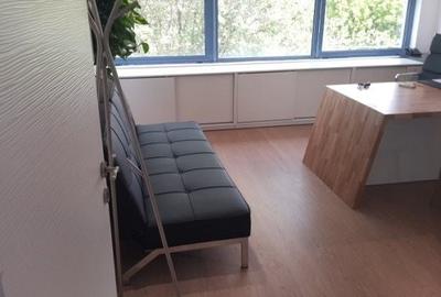 Birou, de 120 mp, în Theodor Pallady - 7