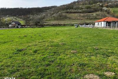 Teren de 3100 mp, în Jichișu de Jos