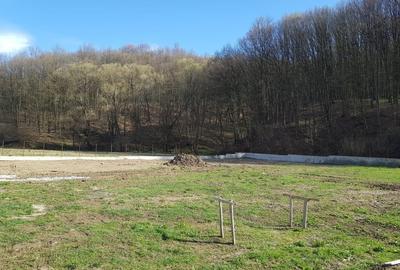 Vanzare casa la padure, an 2024, Bascov, Uiasca, 138.000 euro - 11