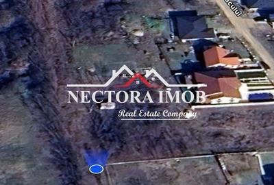 Spațiu comercial, în Paleu - 3