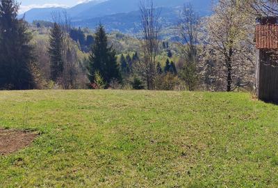 Teren de 3000 mp, în Moisei - 4