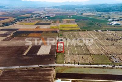 Teren de 13750 mp, în Sud - 11