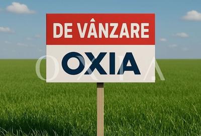 SX551 Dumbravita(Lac), Teren intravilan, Toate utilitatile - 2