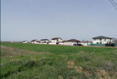 Teren de 7500 mp, în Adunații-Copăceni - 2