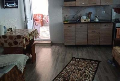 Casă cu 4 camere în Toporu - 4