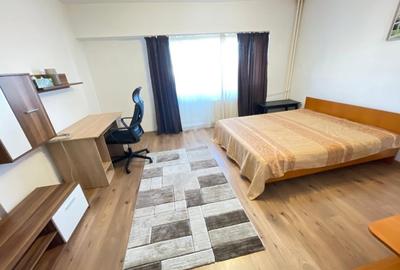 Apartament cu 1 camera - zona Tatarasi Sud - 12